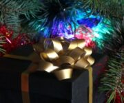 Un-regalo-sotto-l-albero-1258976093_17