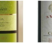 asimovdestrodefranco