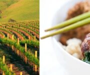 napavalleyricettacinese