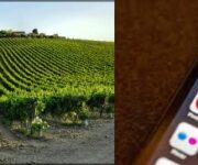 socialmarketingterritoriale