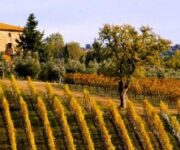 tuscany
