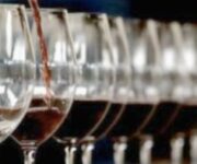 Lions-progetto-ENOLIONS-470×252