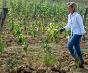 luisasilvestriniimpaginato