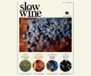 slowwine1