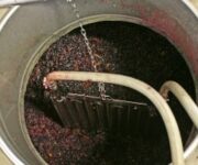 Cuve_de_rouge_avec_drapeau_by_JM_Rosier1