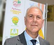 chiarelli-alessandro