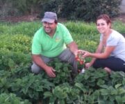 domenicopalmisanoerosariahp