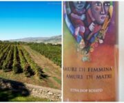 etnavinoalcantararosato