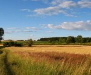 campagnaeconomia_agricolasiciliahp