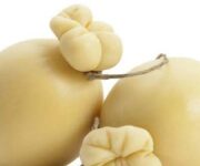 Caciocavallo_della_Siciliahp