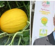 melonecoldiretti