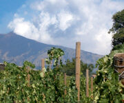 vulcano-vitigno
