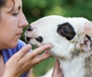 expo-rurale_fattorie_aperte_con_agnello