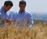 gentile_pastificiohp