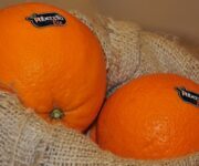 arancia_di_ribera_dop_bio