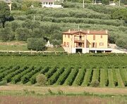azienda_agricola