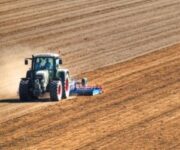 campo_agricolo