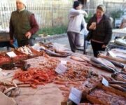 pesce_in_vendita