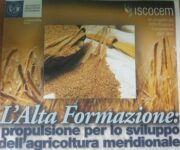 alta_formazione