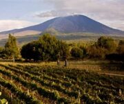 vigna_etna