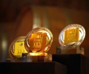 Sol_dOro_Emisfero_Nord