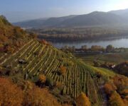 panorama_wachau_2__c__riha