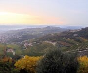 Panorama_San_Giorgio_Cantina_Valpolicella