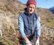 per_pezzo_doctor_wine