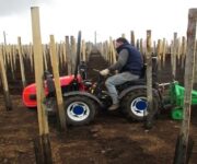 Foto_trattore_foti_4