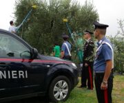 agromafia