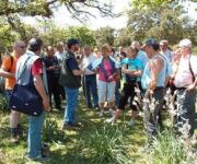 turisti_visita_azienda