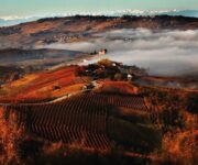 vitigni_langhe