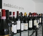 Nebbiolo_Prima