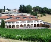 azienda_melini