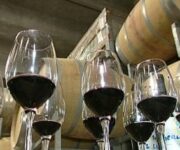 indicazioni_geografiche_generico