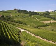 langhe_generico
