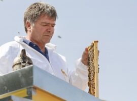 Carlo Amodeo, apicoltore