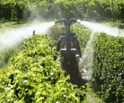 antiparassitari_vigneti