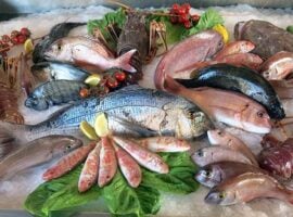 pesce_fresco_generico
