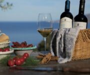 salina_experience2_2