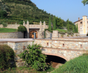 Veduta_dellazienda_e_dei_vigneti_