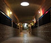 cantina_peppe_zullo2