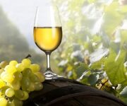vino_bianco_generico