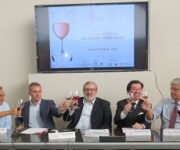 Conferenza_concorso3