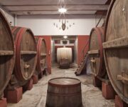 cantina_ampelio_bucci