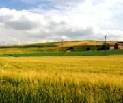 ruralit_mediterranea