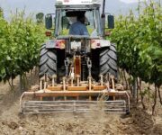 trattore_tra_vigneti