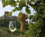 uva_bicchiere_castello_soave