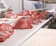 lavorazione_carni_generico