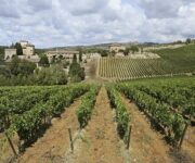 piano_regolatore_citt_del_vino